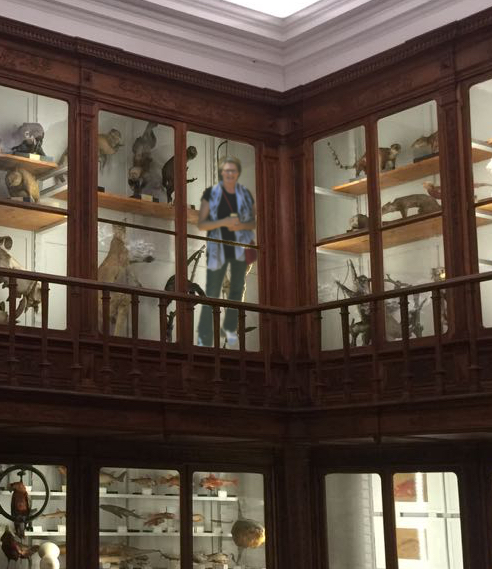 Carolyn on display closeup